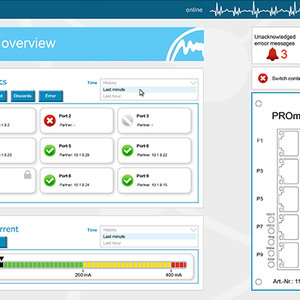Clear web interface shows port allocation and status at a glance.