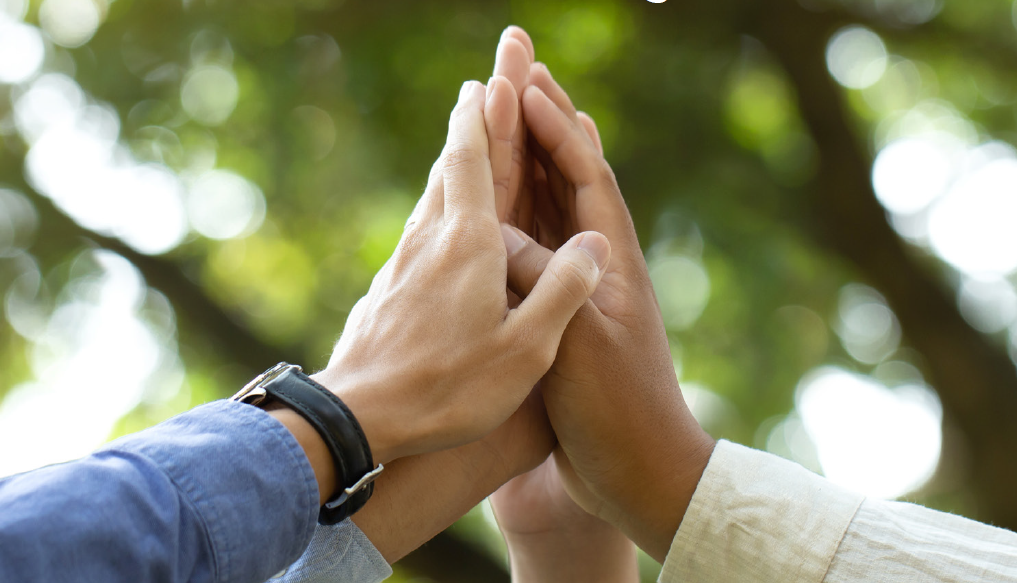 Verhaltenskodex Indu-Sol GmbH