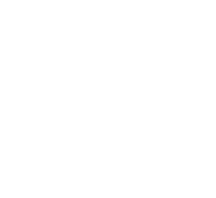 Telephone Support